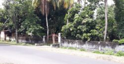 Tanah Lokasi Selong Depan Baznas Lotim