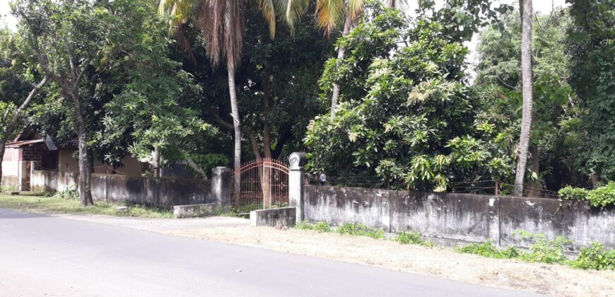 Tanah Lokasi Selong Depan Baznas Lotim