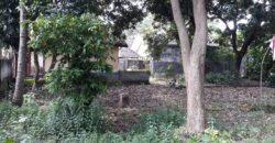 Tanah Lokasi Selong Depan Baznas Lotim
