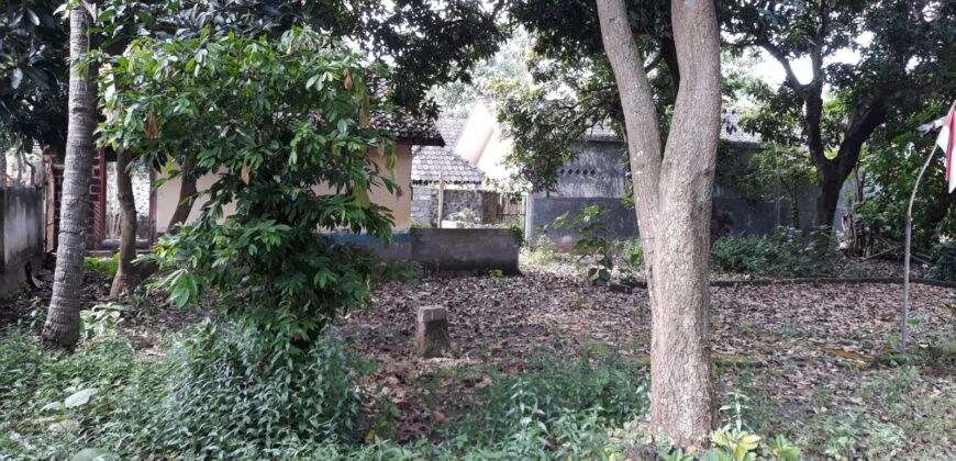 Tanah Lokasi Selong Depan Baznas Lotim